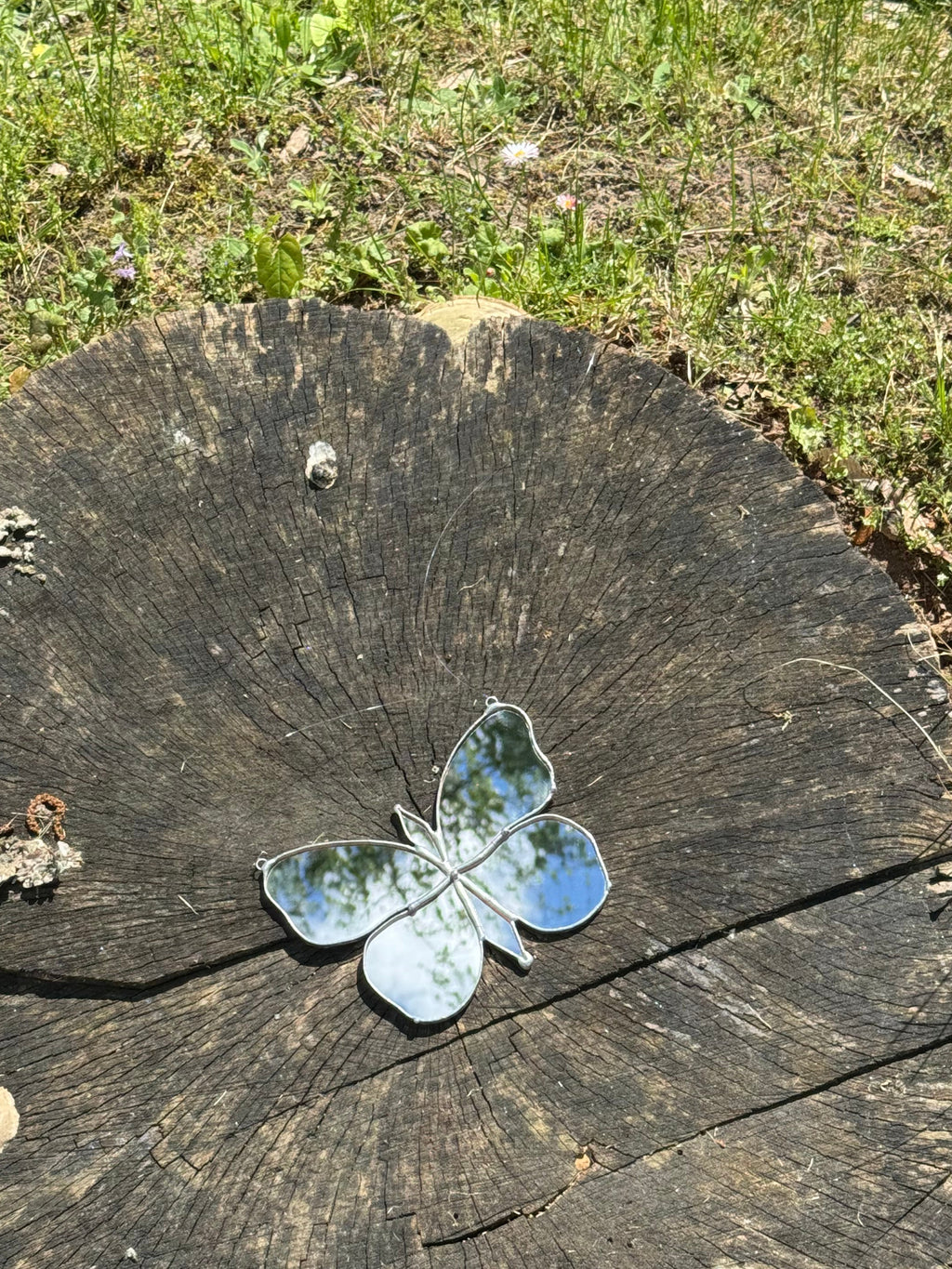 Veidrodis Butterfly dream