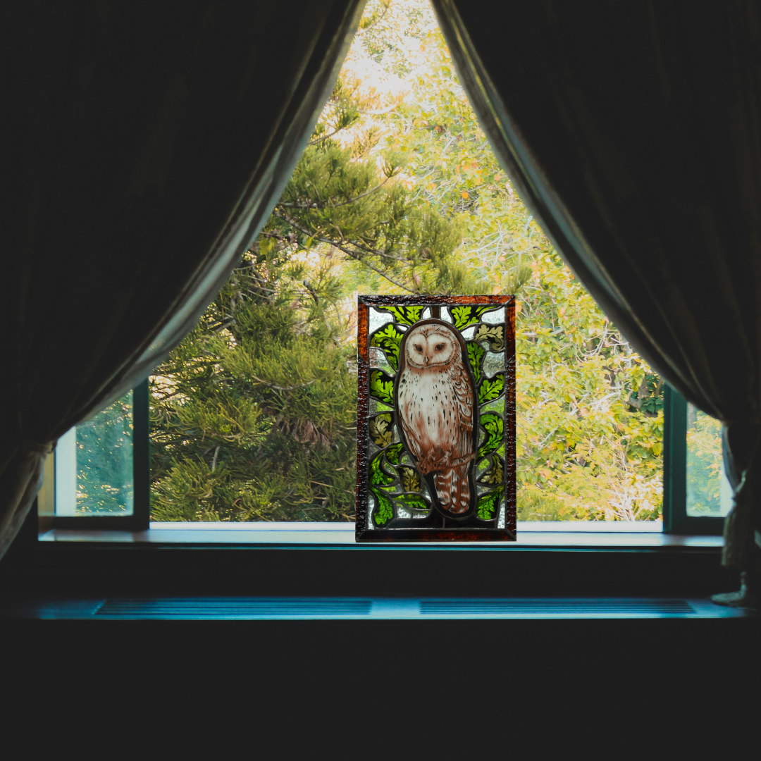 Vitražas Pelėdos išmintis