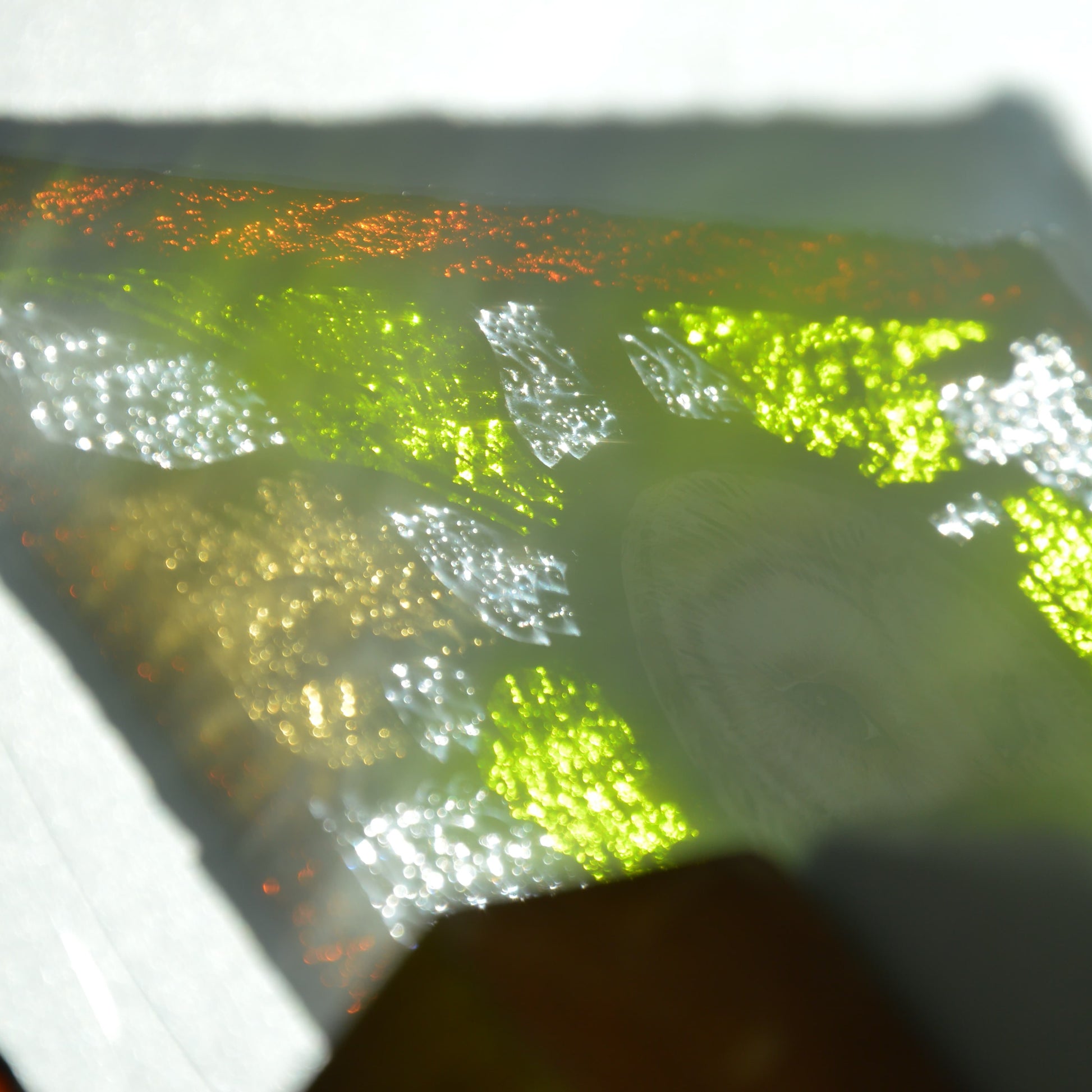 Vitražas Pelėdos išmintis